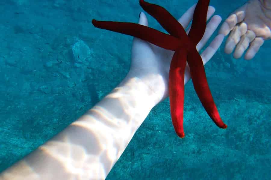 Naxos: Taormina Bootstour mit Schnorcheln und Prosecco. Foto: GetYourGuide