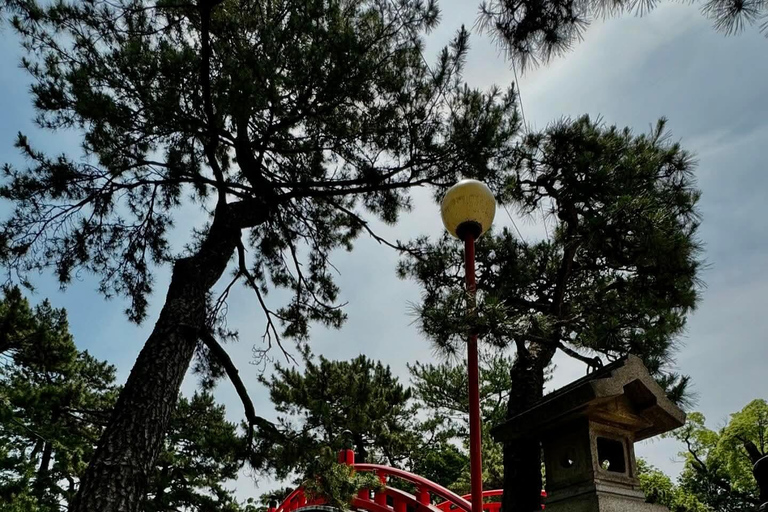 Osaka & Nara: Private Tour with English speaking guide Osaka & Nara: Couple friendly tour with vehicle and guide