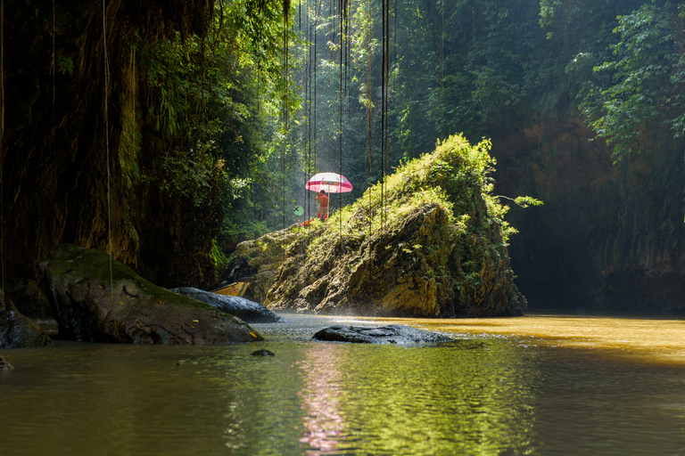 Bandung to Pangandaran: Private Beach & Nature Tour