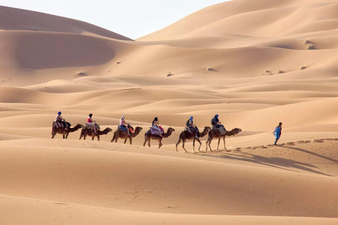 Fes to Marrakech: 3-Day Sahara Camel Trek &amp; GlampingStandard Desert Camp