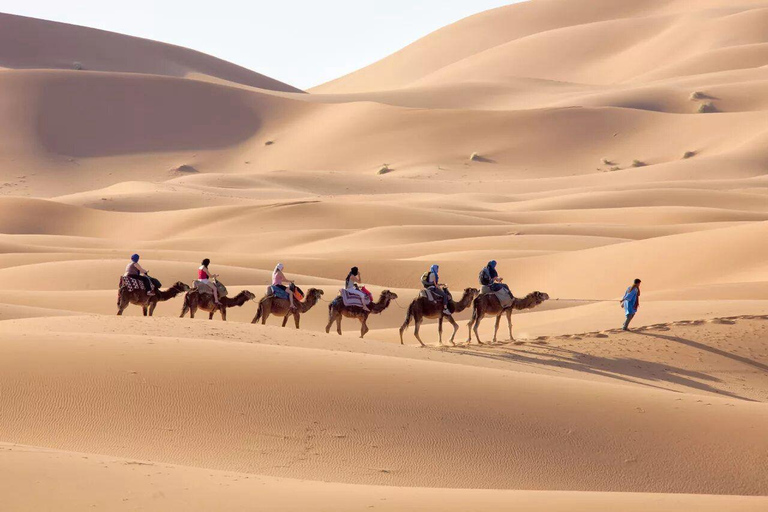 De Fez a Marrakech: Aventura de 3 días por el desierto del SaharaCampamento Estándar del Desierto