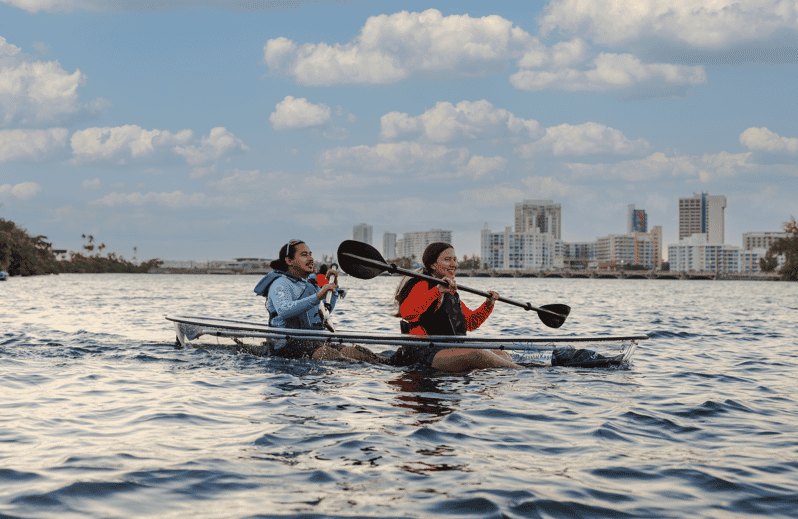 San Juan: Condado Lagoon Nature Kayak Tour