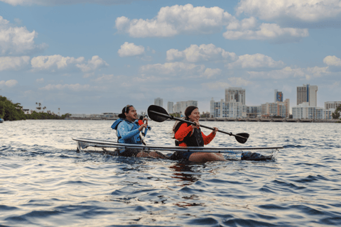 San Juan: Condado Lagoon Nature Kayak Tour