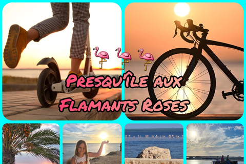 Djerba: Ride to the Pink Flamingo Peninsula by Electric Bike