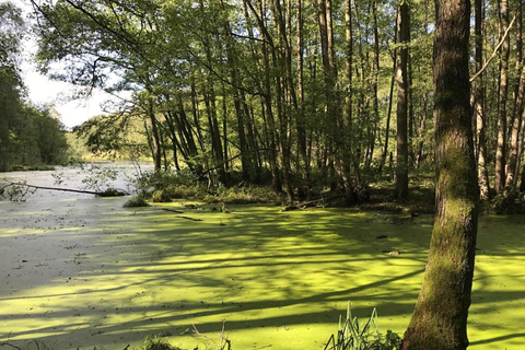 Brandenburg: Canoe Trip with Dinner, Sauna, and Whirlpool 1,5h From Berlin: Canoe Trip, Dinner an Wellness
