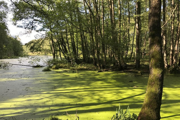 Brandenburg: Canoe Trip with Dinner, Sauna, and Whirlpool 1,5h From Berlin: Canoe Trip, Dinner an Wellness