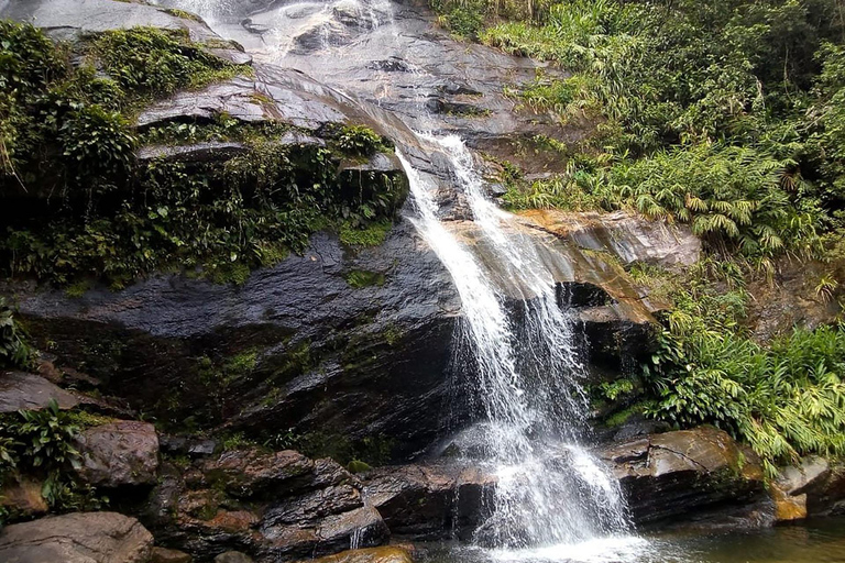 Rio de Janeiro: Zwiedzanie z przewodnikiem do Parku Narodowego Tijuca