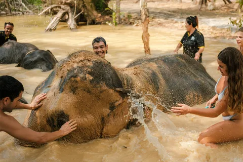 Krabi: Love Elephant Sanctuary Tour