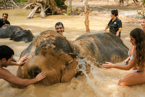 Krabi: wycieczka do sanktuarium słoni w pobliżu Ao Nang