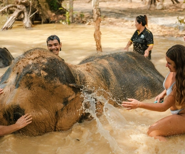 Krabi: Love Elephant Sanctuary Tour