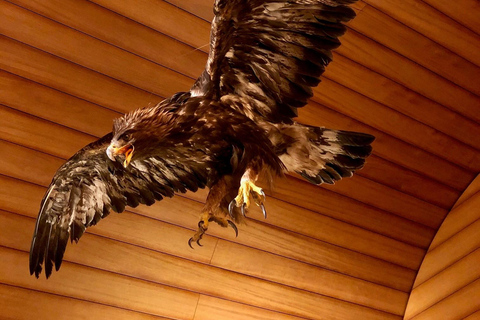 Fortress: Prisons, Museum of Fortifications and Alps Museum