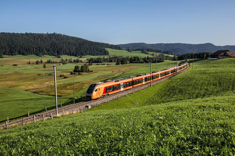 Zurich: Hardcore Swiss Train Tour–4 Scenic Railways in 1 day Excluding Train Tickets