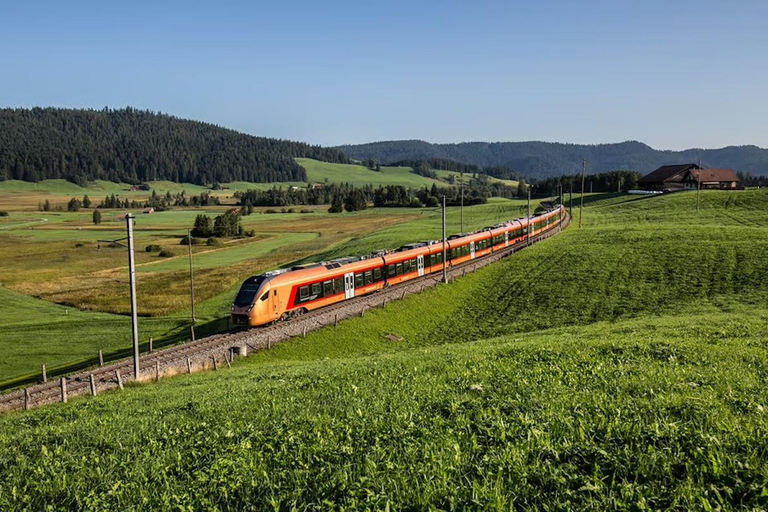 Zurich: Hardcore Swiss Train Tour–4 Scenic Railways in 1 day Excluding Train Tickets