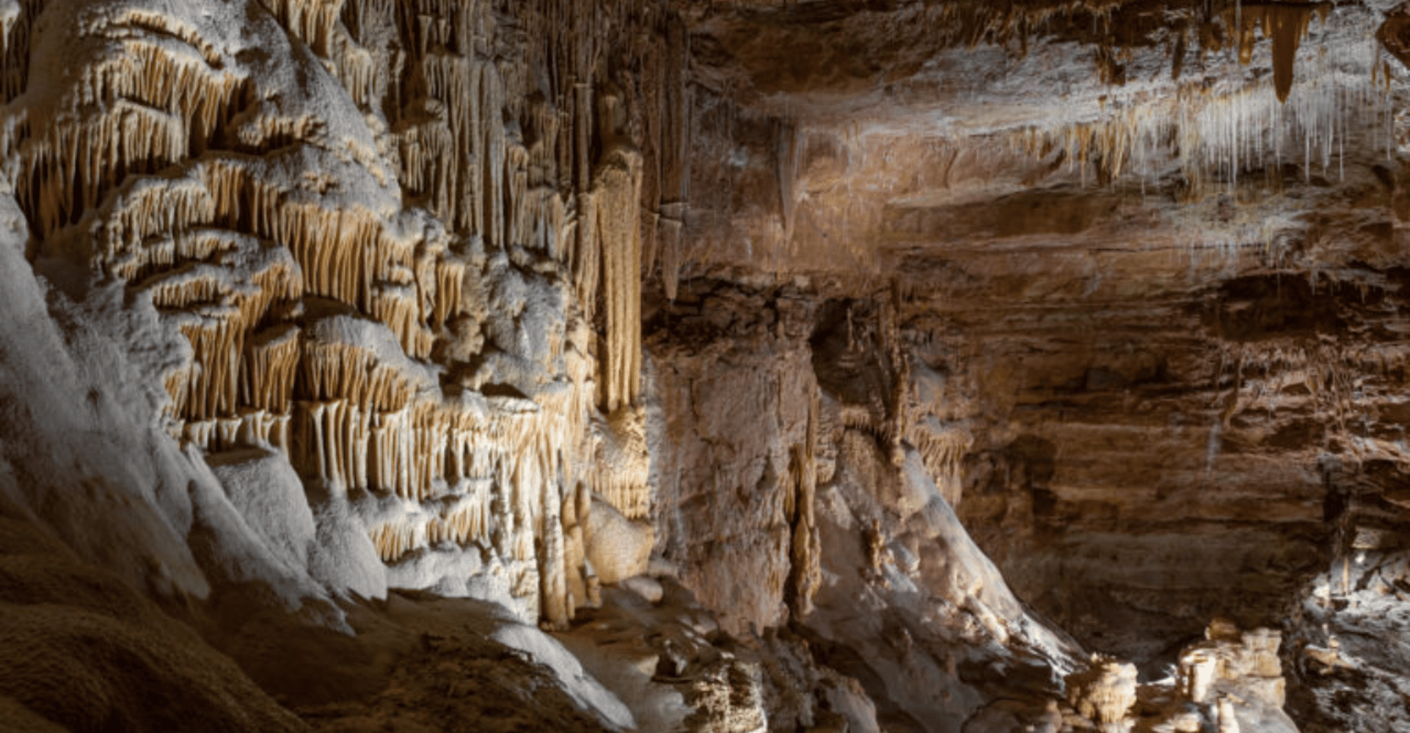 San Antonio: Discovery Tour at Natural Bridge Caverns photo 9