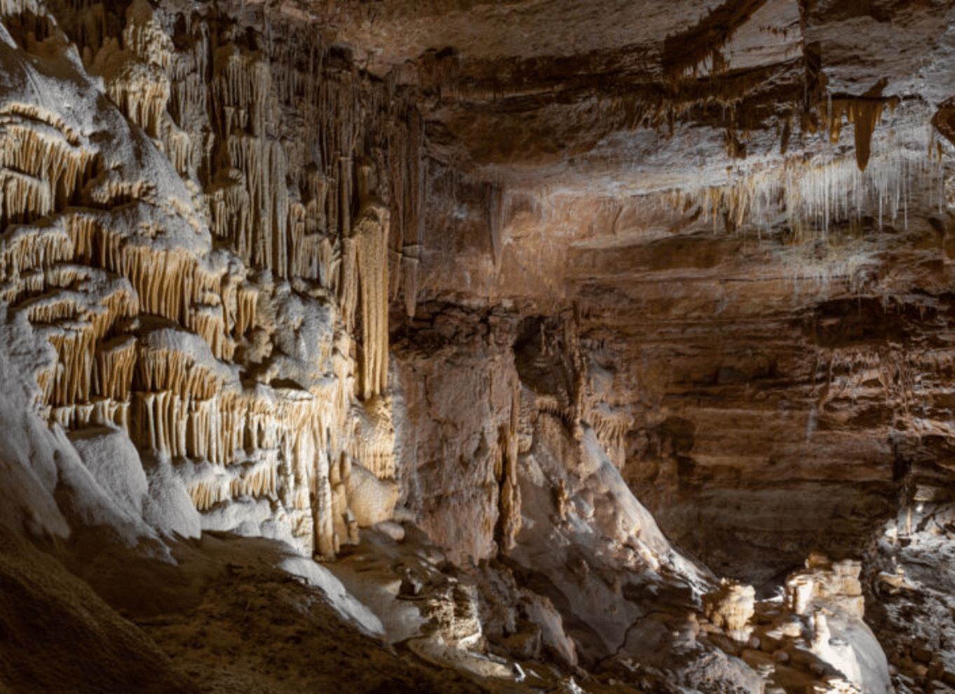 San Antonio: Opdagelsestur i Natural Bridge Caverns