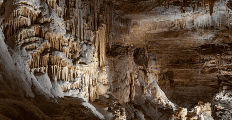 San Antonio: Discovery Tour at Natural Bridge Caverns photo 9