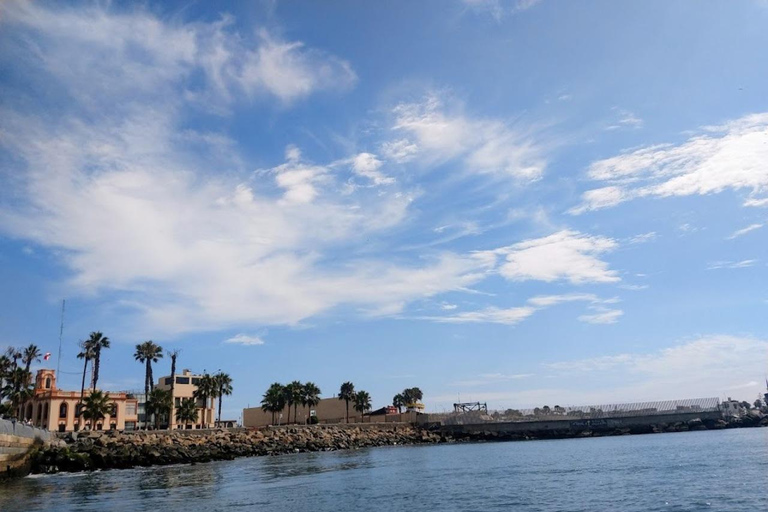 Lima: Tour a Isla Palomino Aventura Marina