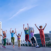 Singapore: Airport Layover & Half-Day City Tour