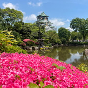 Osaka: City Highlights Bike Tour
