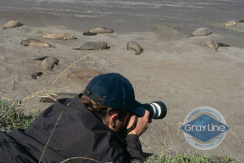 Puerto Madryn: Excursión a Península Valdés ClásicaDescubre la península Valdés: tour de 1 día