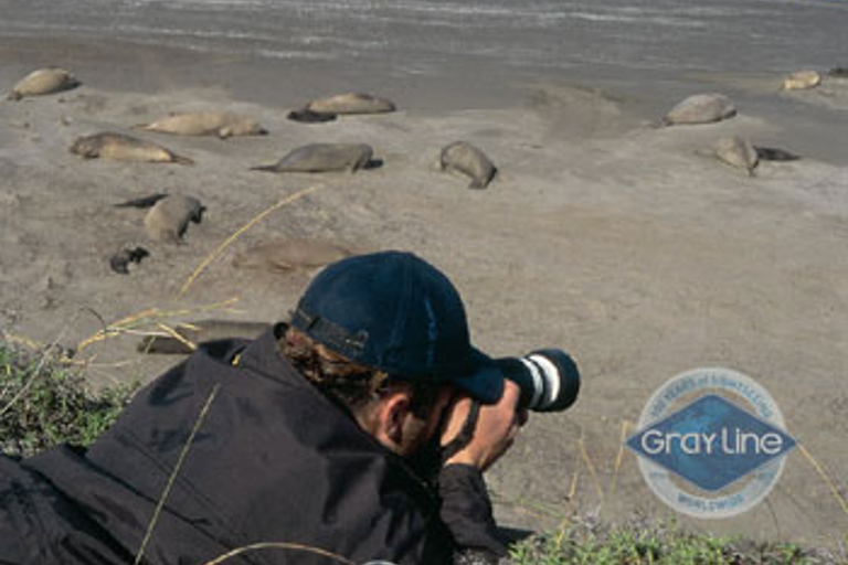 Puerto Madryn: Wycieczka na półwysep Valdes ClassicJednodniowa wycieczka Discover Valdes Peninsula