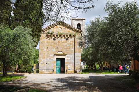 GUIDED EBIKE TOUR - THE SURROUNDINGS OF PISA: HISTORY, NATURE AND SECRET GLIMPSES