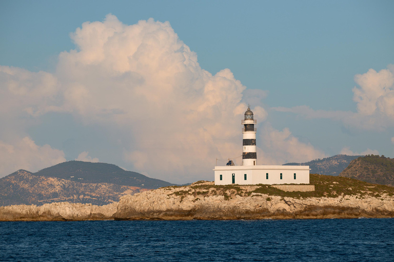 Ibiza: Formentera Boat and Bike Guide Tour +Sunset Party Gold Edition: Formentera Bike & Boat Adventure from Ibiza