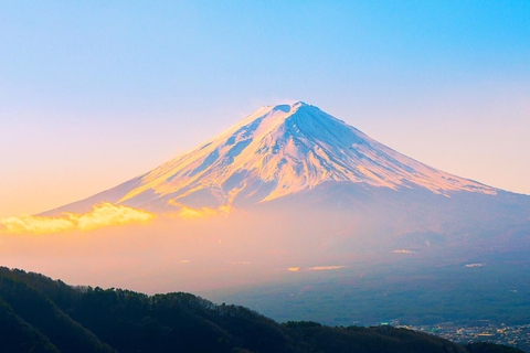 Mt.Fuji, Arakura Sengen Park, Oishino hakkai, Kawaguchico TripOdbiór z dworca w Tokio o 8:00 rano