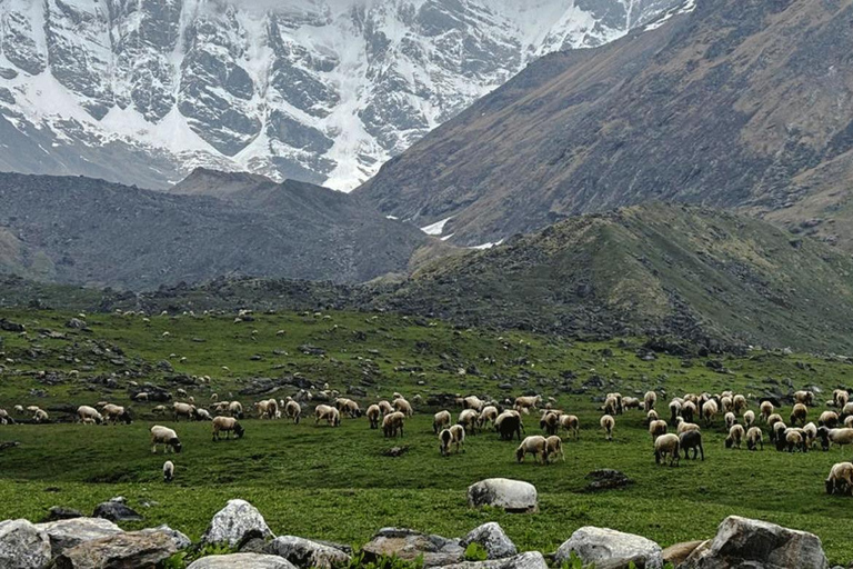 Pokhara: 8-Day Api Himal Base Camp Trek (Hidden Gem)
