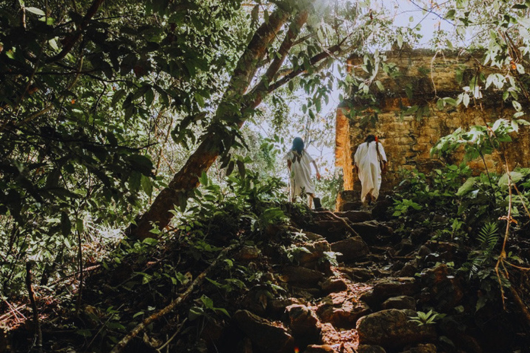 From Palenque: Yaxchilan & Bonampak Ruins and Lacandon Jungle, 2 Days with Cabin From Palenque: Yaxchilan & Bonampak Ruins & Lacandon Jungle, 2 Days with Cabin