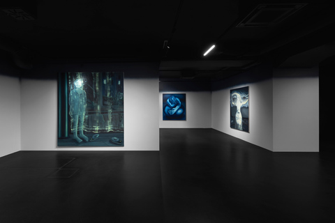 Wrocław: Entry Tickets to Art Gallery in the City Centre