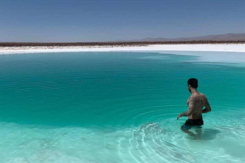 San Pedro de Atacama: Baltinache Lagoons Day Trip