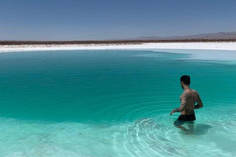 San Pedro de Atacama: Baltinache Lagoons Day Trip