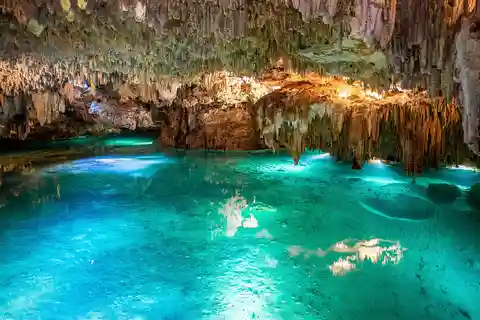 Nada en el Cenote, Bucea con Tortugas Marinas y Club de Playa.