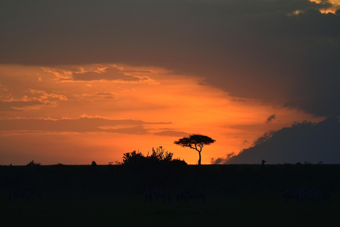 3-Day Small Group Safari to Maasai Mara: Adventure Awaits