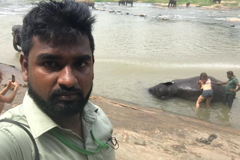 Pinnawala dagtour vanuit Kandy (privétour met lunch)