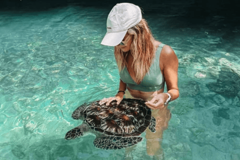 Zanzibar: nuota con le tartarughe marine nella grotta della laguna a Nungwi