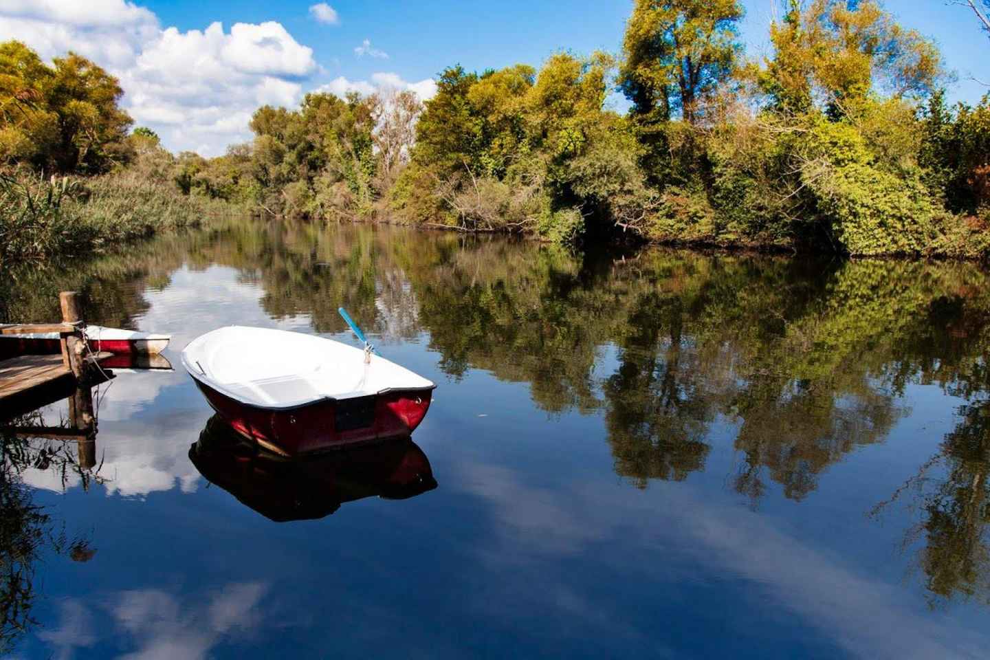 「イスタンブール発：シレとアグヴァの黒海村巡りツアー」
