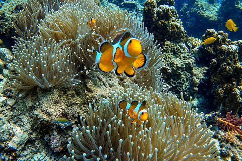 Krabi Sunset Cruise: Phi Phi, Bamboo Island & Lunch
