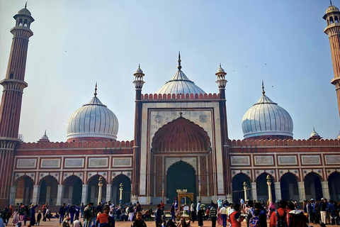 Nueva Delhi: Traslado al aeropuerto privado desde o hacia la ciudad