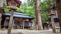 From Takayama, Immerse in Takayama's Rich History and Temple - Housity