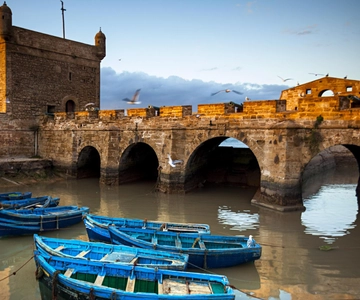 DAY TRIP TO ESSAOUIRA FROM MARRAKECH