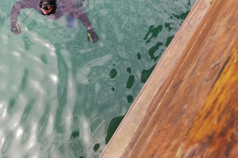 Turtle Island Double Dive with Lunch: Alanya & Side Pickup
