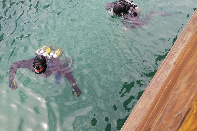 Turtle Island Double Dive with Lunch: Alanya & Side Pickup