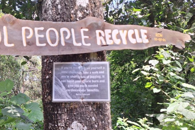 Caminhada pela Floresta Ololua — Cavernas, Cachoeira e Trilhas NaturaisCaminhada pela Floresta Ololua - Cavernas, Cachoeira e Trilhas Naturais