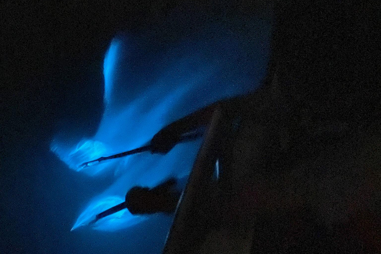 Kuala Selangor: Eagles, Fireflies & Blue Tears Boat Tour