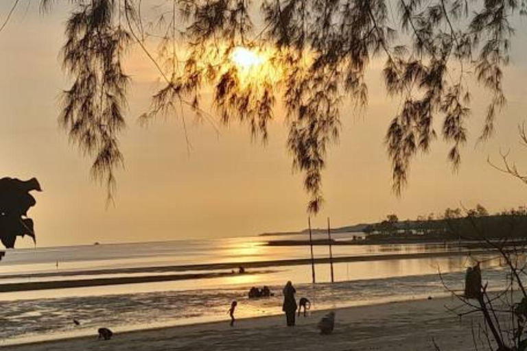 Seaside Charms &amp; Eco Discoveries: Morib to Bagan Lalang