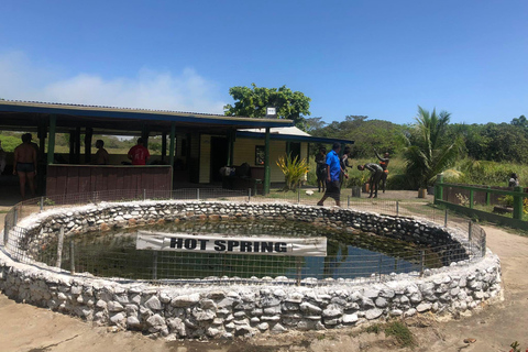 Nadi: Hot Springs and Mud Pools Natural Spa Nadi Hotspring and Mudpool Entry Fee