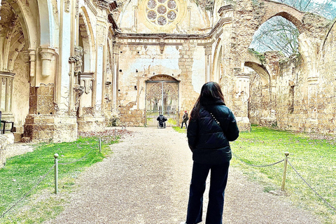 From Madrid: Discover the Monasterio de Piedra and the Kingdom of Aragon Explore the Stone Monastery and discover Sigüenza in a small group