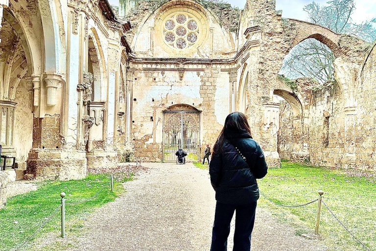 From Madrid: Discover the Monasterio de Piedra and the Kingdom of Aragon Explore the Stone Monastery and discover Sigüenza in a small group